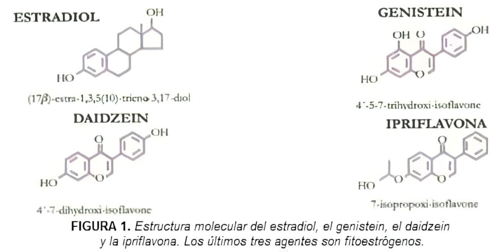 Articulos de Fondo: Pérdida de Masa Ósea en la Menopausia