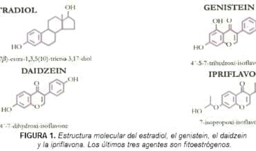 Estructura molecular del estradiol, Genistein, Daidzen y la Ipriflavona