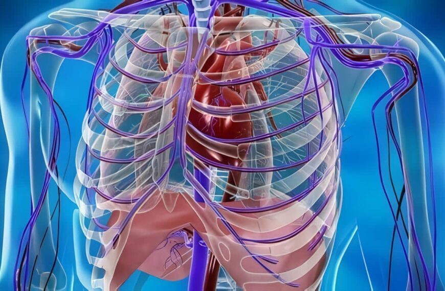 Trauma Vascular Periférico