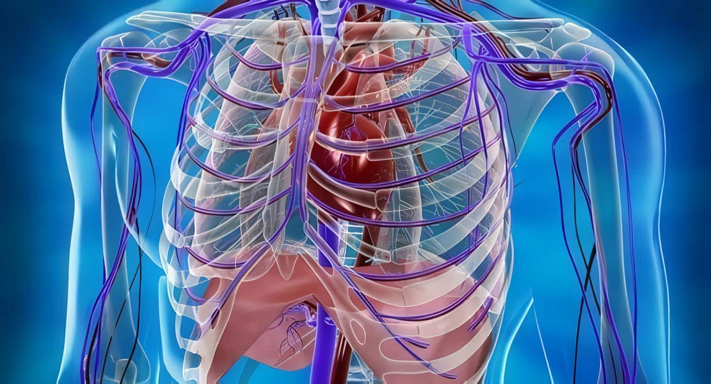 Trauma Vascular Periférico