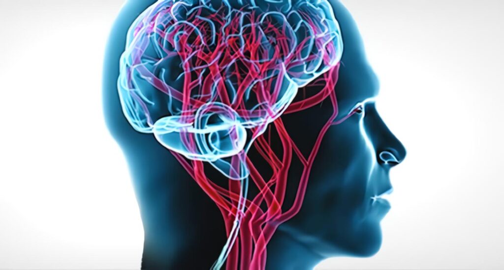 cerebro-mente