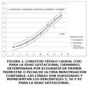 Longitud cefalo caudal 1, Curvas de Crecimiento Fetal
