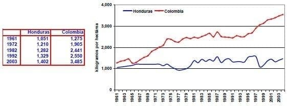 Rendimientos en cereales Honduras Colombia