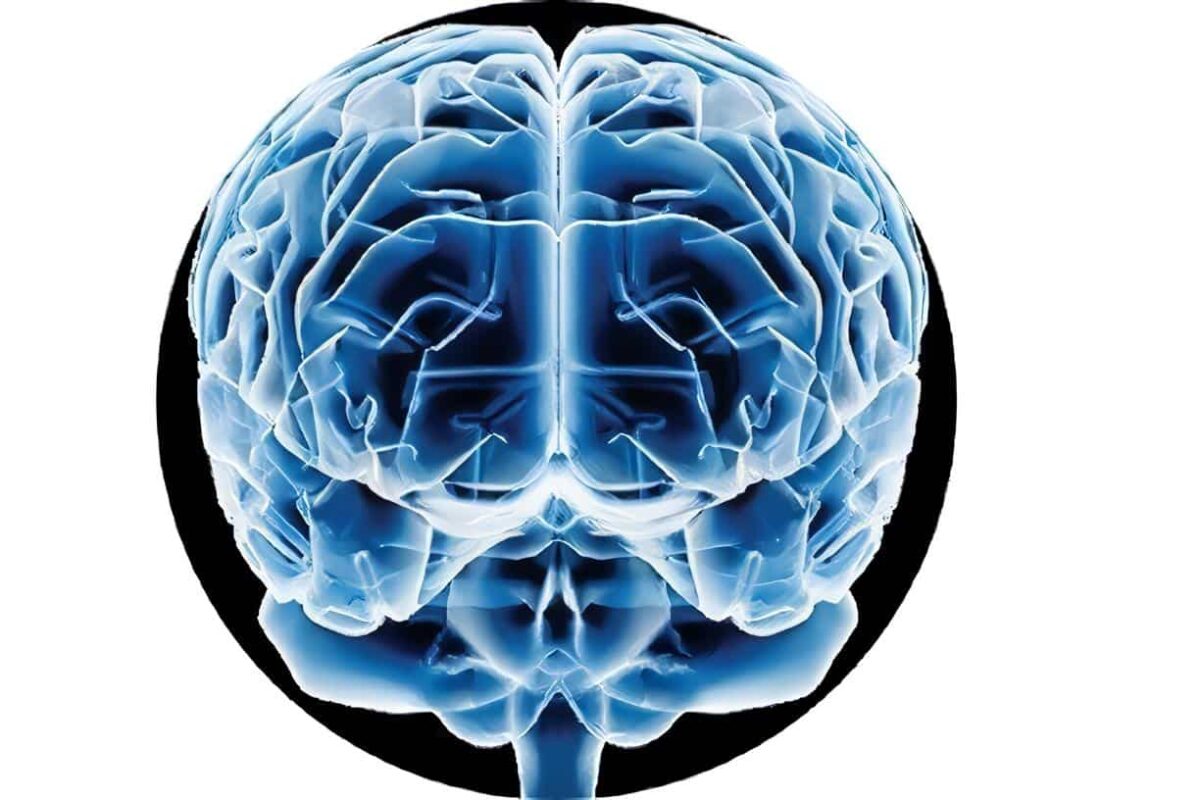 Capacidad Predictiva del Cerebro