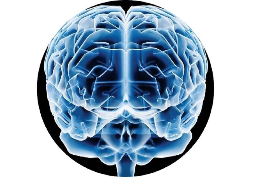 Capacidad Predictiva del Cerebro