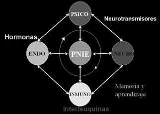 Psicoinmunoendocrinología