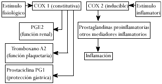 Ciclo de las prostaglandinas