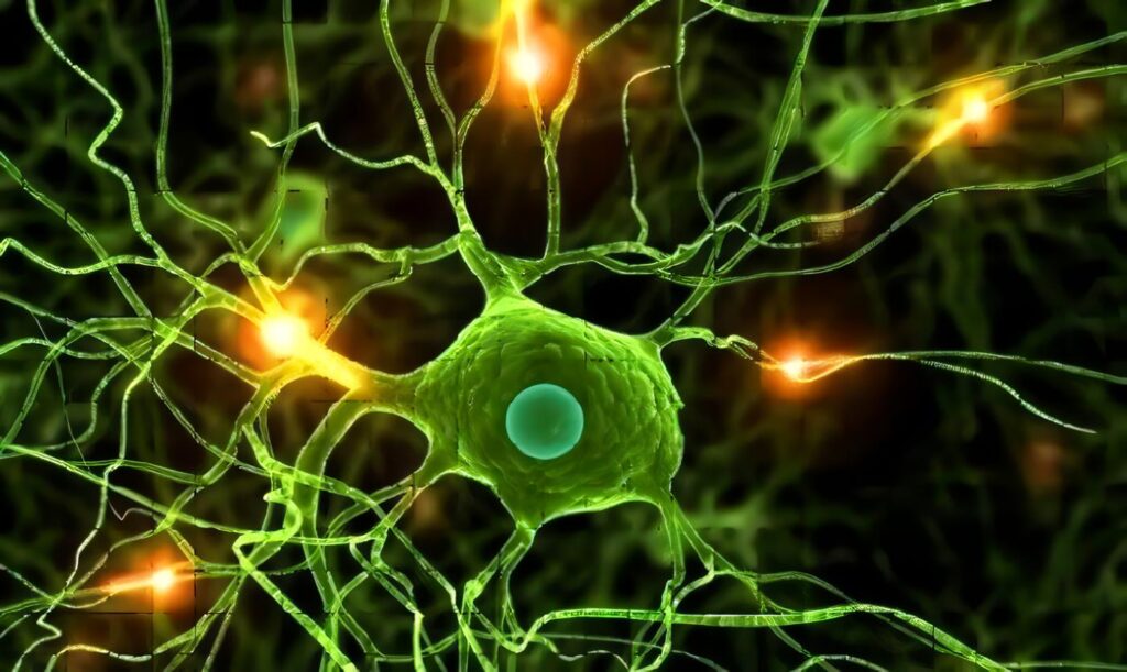 El Cáncer de Seno no es Sinónimo de Muerte