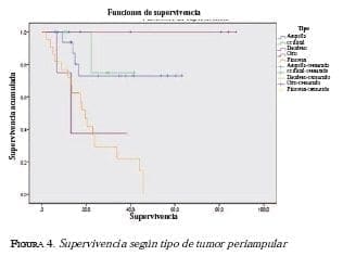 Supervivencia segun tipo de tumor periambular