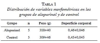 Distribucion Variables morfometricas