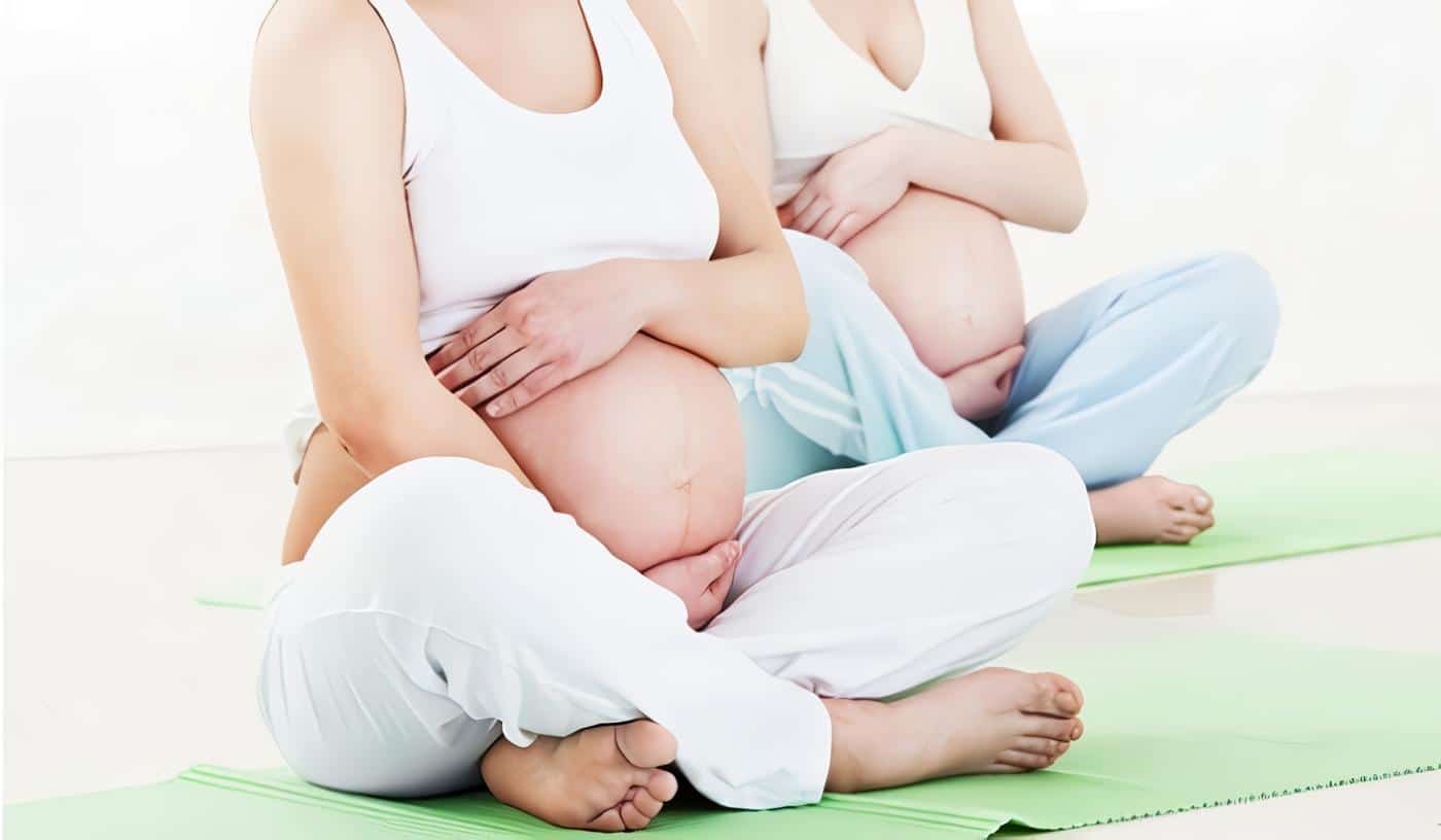 embarazo-introduccion