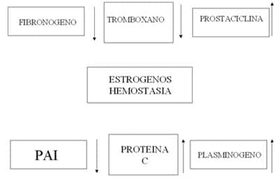 Estrógenos Hemostasia