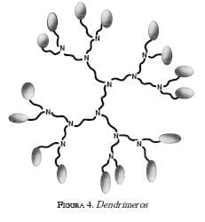 Dendrimeros son estructuras poliméricas