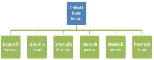 gestion-del-talento-humano