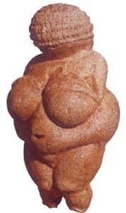 Venus de Willendorf, Enfoque de la Obesidad