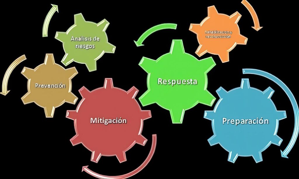 Actividades de Recien nacido