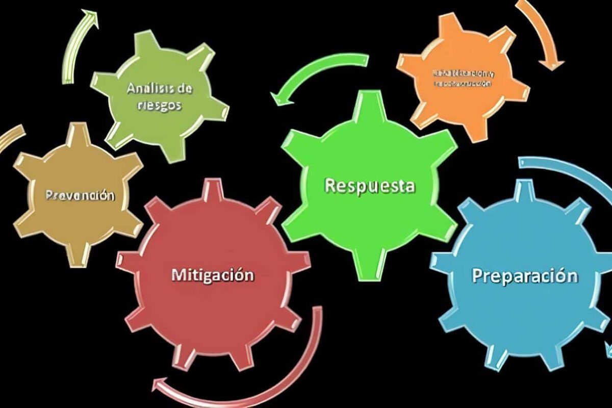 Actividades de Recien nacido