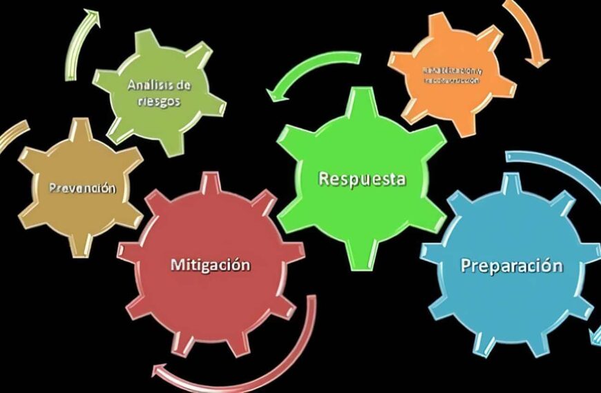 Actividades de Recien nacido