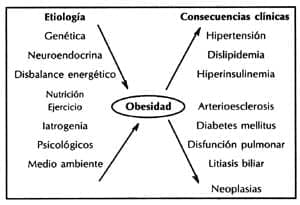 Lipoproteínas, Etiología de la obesidad
