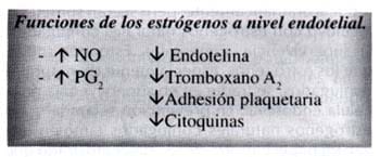  Funciones de los estrogenos a nivel endotelial