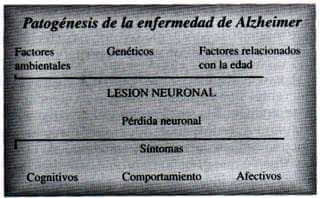 Patogenesis de la enfermedad Alzheimer
