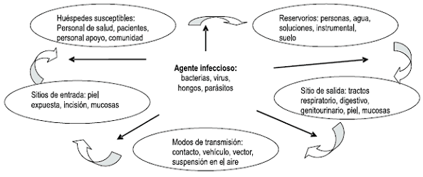 Agente infeccioso - ciclo de transmision de enfermedades