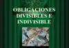 Obligaciones Divisibles e Indivisibles