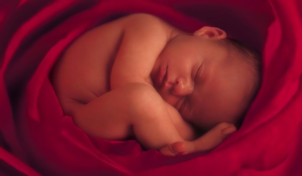 Aborto Provocado o piadoso