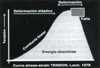 Curva de deformidad - resistencia típica del tendón