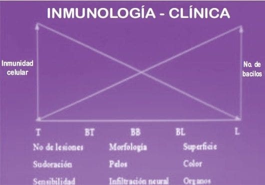 Inmunología clínica de la lepra