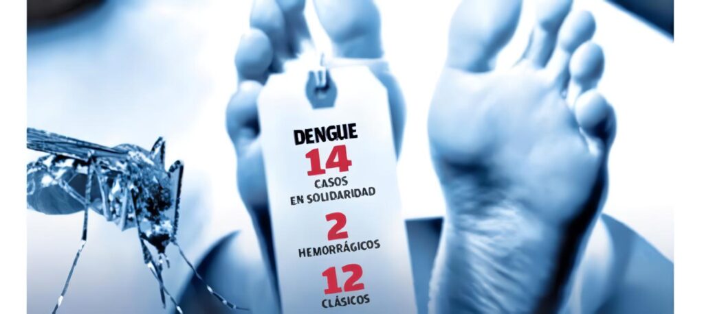 Manejo dengue en niños