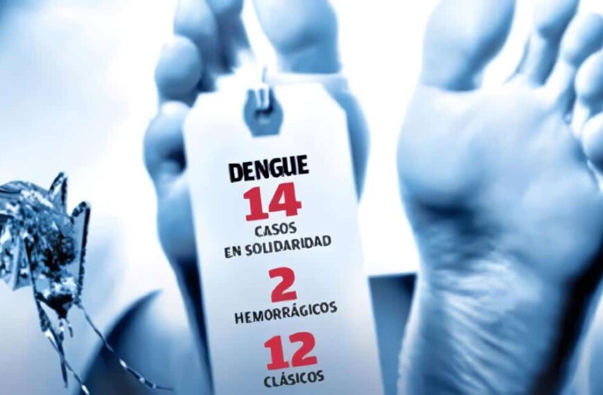 Manejo dengue en niños