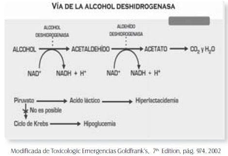 Vía de la alcohol desidrogenasa