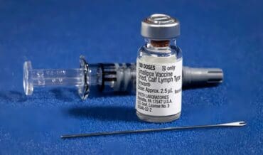 Vacuna fiebre