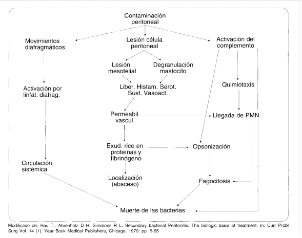 Respuesta peritoneal a la infección