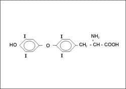 Molécula de Tiroxina