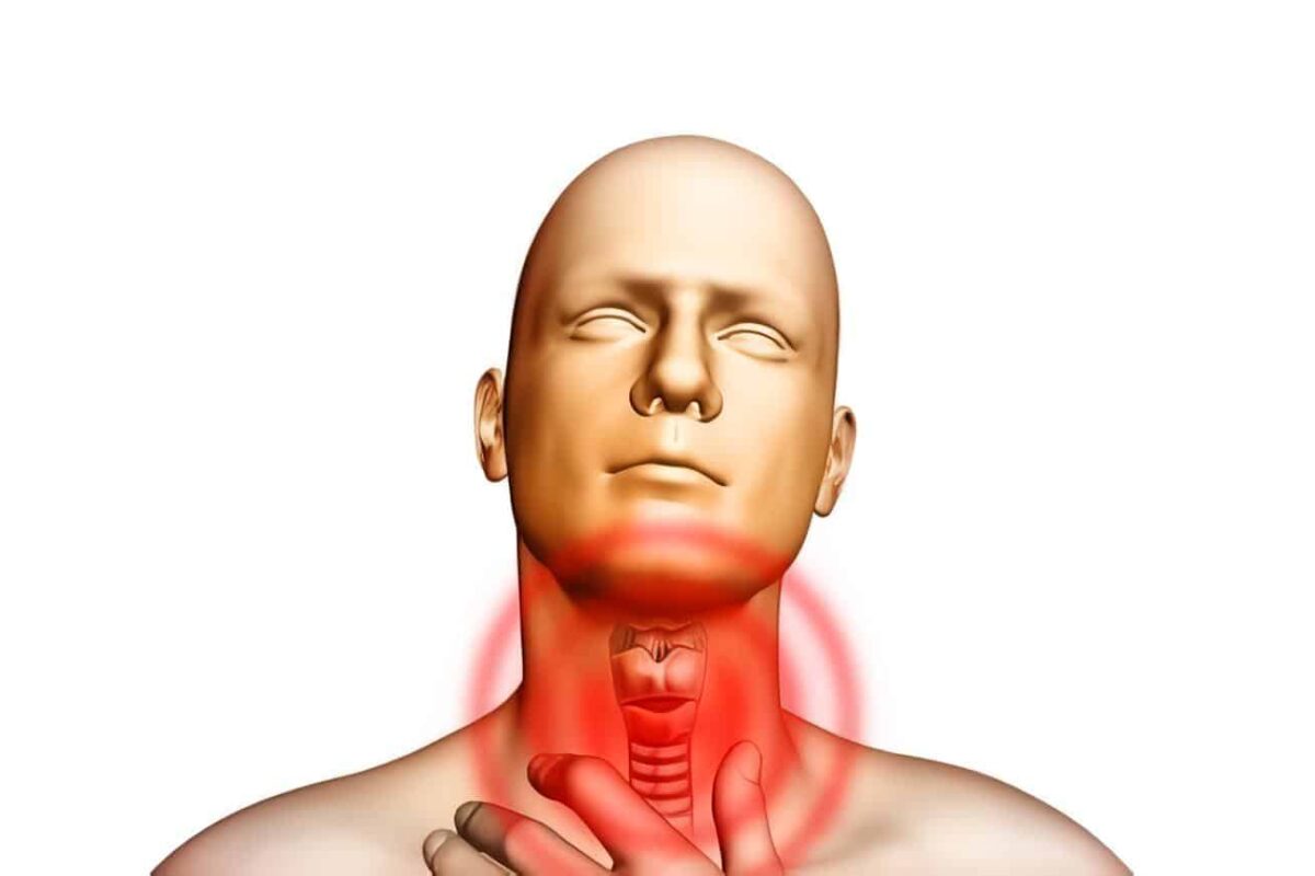 Fisiología de la Glándula Tiroides