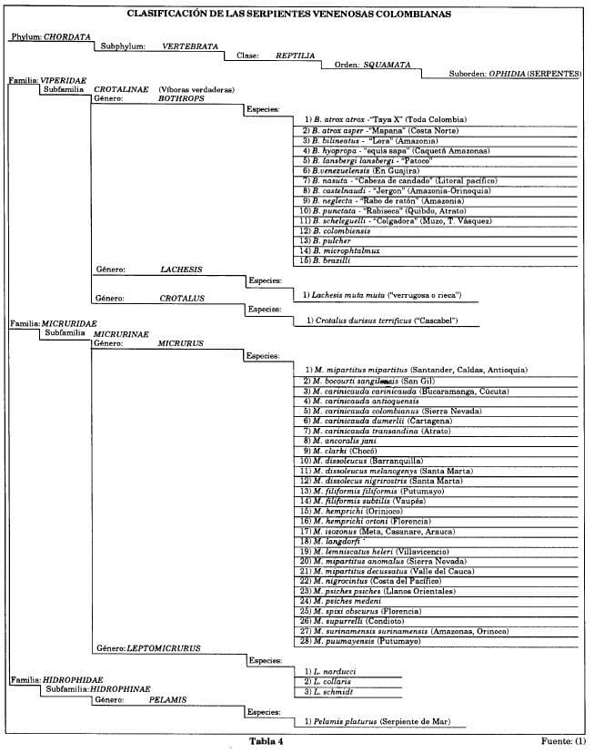 Clasificación de serpientes venenosas