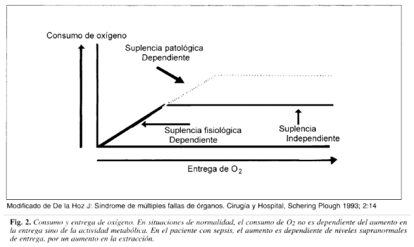 Consumo y entrega de oxígeno