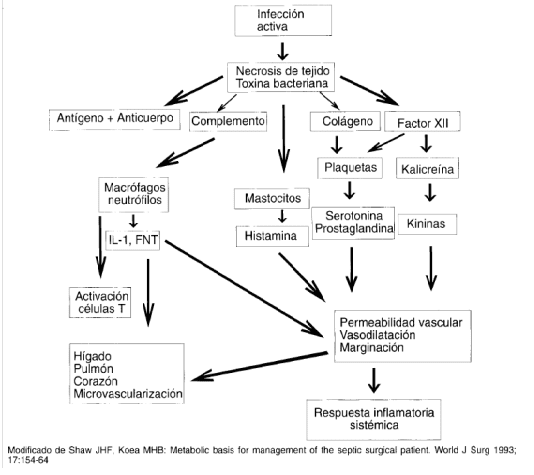 Interrelación entre el sistema neuroendocrino y las citokinas