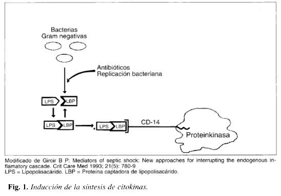 Inducción de la síntesis de cifokinas