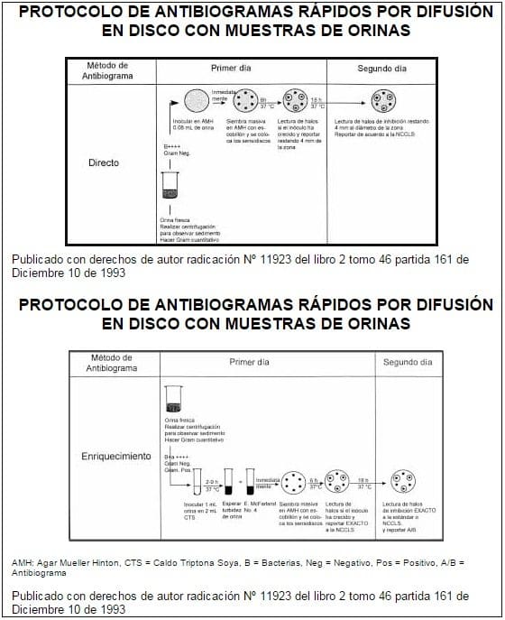 Protocolo de Antibiogramas