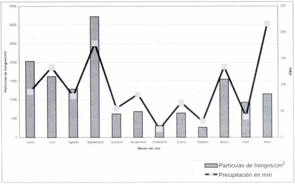 Distribución mensual de partículas de hongos con relación a la precipitación pluvial