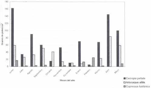 Comportamiento mensual de pólenes de Cecropia peltata, Artocarpus altilis y Cupressus lusitanica