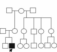 Genealogía diagnóstico de inmunodeficiencia primaria humoral