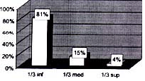 Porcentaje de pacientes en los diferentes tercios uretrales