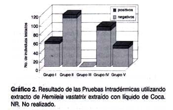 Resultado de las pruebas Intradérmicas con extracto de Hemileia vastatrix