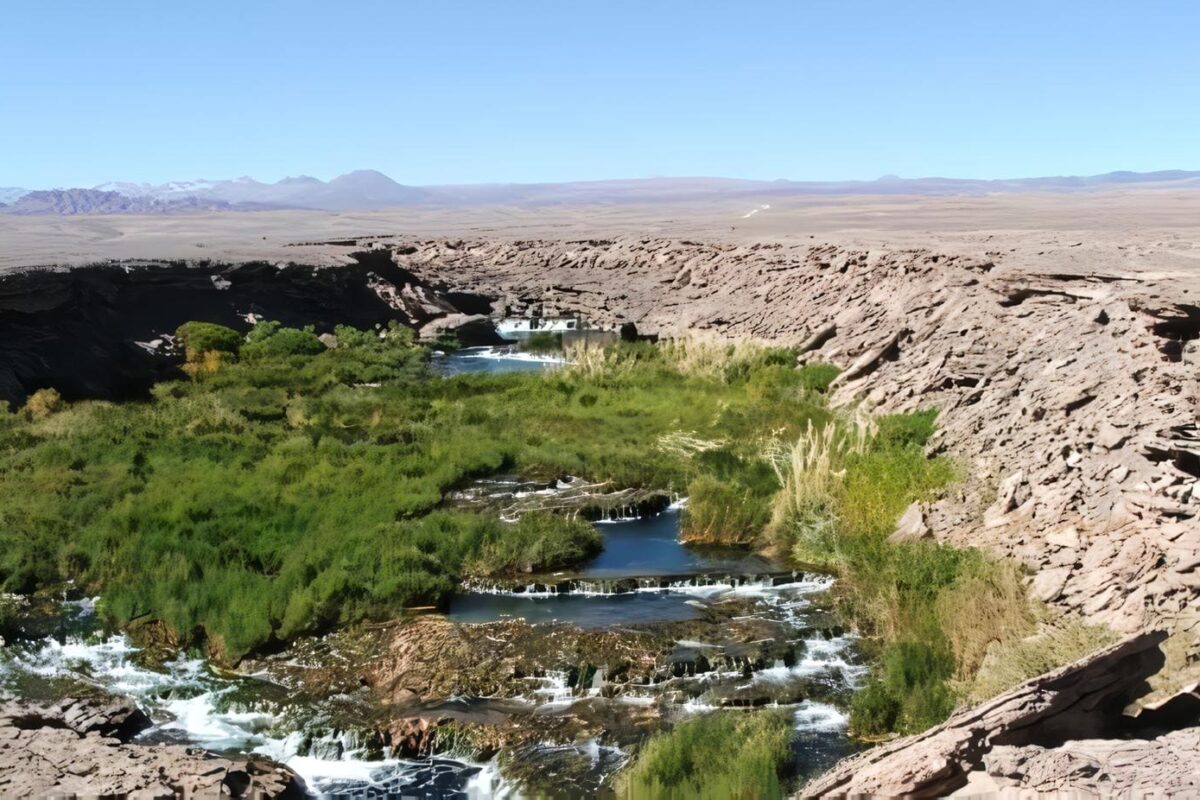 Clasificación de Humedales