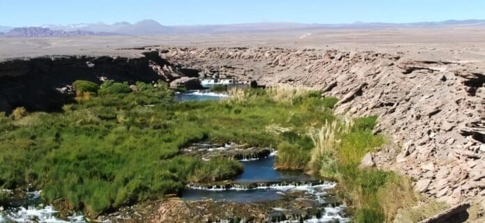 Clasificación de Humedales