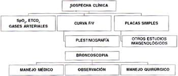 Tratamiento que requerirá un paciente Estenosis Traqueales